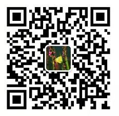 51漫画
有限公司