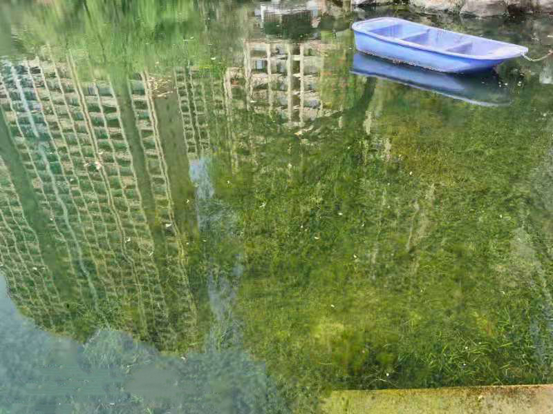 蠡溪西苑风情梁溪河名目革新后